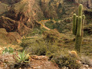 photo thumbnail #10