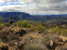photo thumbnail #15