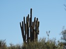 photo thumbnail #2