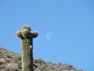 photo thumbnail #12