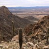 photo thumbnail #9