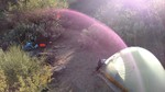 photo thumbnail #9
