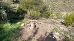photo thumbnail #10