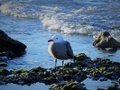 photo thumbnail #7