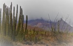 photo thumbnail #2
