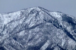 photo thumbnail #9