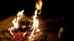 photo thumbnail #6
