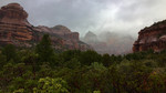 photo thumbnail #8