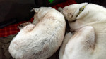 photo thumbnail #11