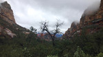 photo thumbnail #2