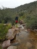 photo thumbnail #5