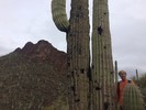 photo thumbnail #2