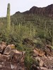 photo thumbnail #7