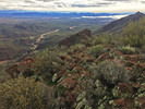 photo thumbnail #8