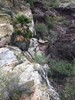 photo thumbnail #13