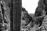 photo thumbnail #15