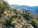photo thumbnail #4