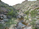 photo thumbnail #2