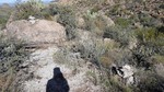 photo thumbnail #2