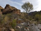 photo thumbnail #6