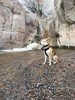 photo thumbnail #2