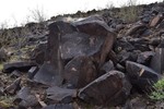 photo thumbnail #4