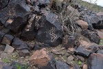 photo thumbnail #7