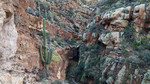 photo thumbnail #11