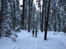 photo thumbnail #8