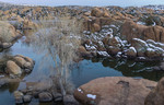 photo thumbnail #5
