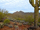 photo thumbnail #2
