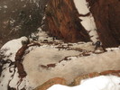photo thumbnail #14