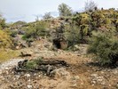 photo thumbnail #2
