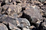 photo thumbnail #15