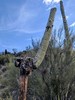 photo thumbnail #2