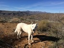 photo thumbnail #2