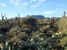 photo thumbnail #1