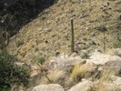 photo thumbnail #15