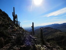 photo thumbnail #7