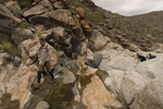 photo thumbnail #4