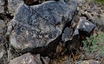 photo thumbnail #5