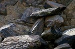 photo thumbnail #8
