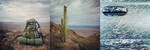 photo thumbnail #12