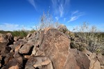 photo thumbnail #6
