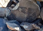 photo thumbnail #11