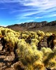 photo thumbnail #8