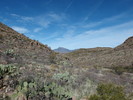 photo thumbnail #15