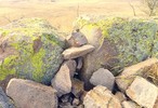 photo thumbnail #14