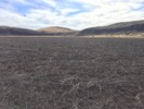 photo thumbnail #15