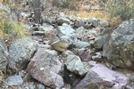 photo thumbnail #6